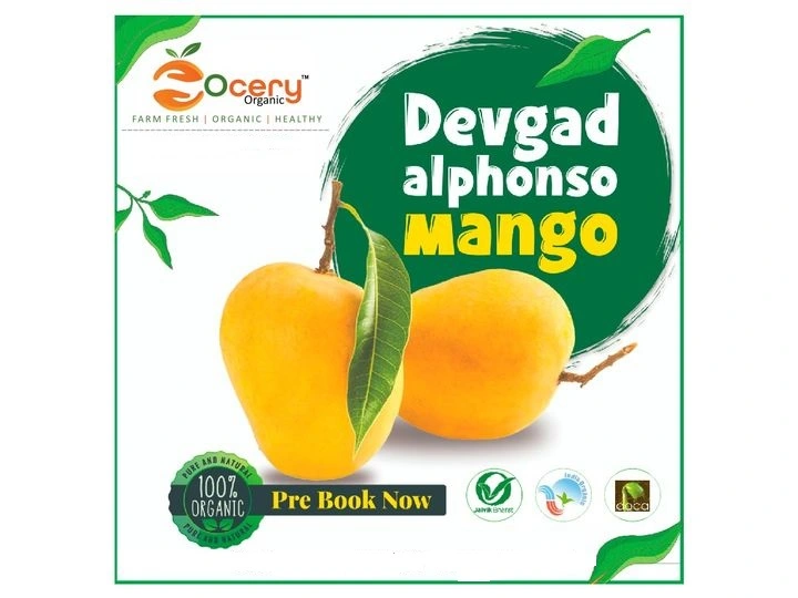 Devgad Alphonso Mango